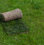 turf-roll-rolled-lawn-land-improvement-green-background-design-element-copy-space